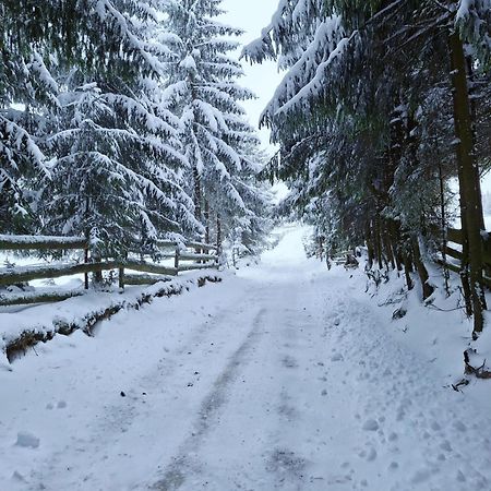 Mokki Villa Mărişel Dış mekan fotoğraf