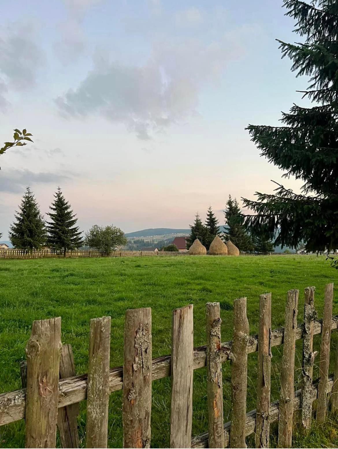 Mokki Villa Mărişel Dış mekan fotoğraf