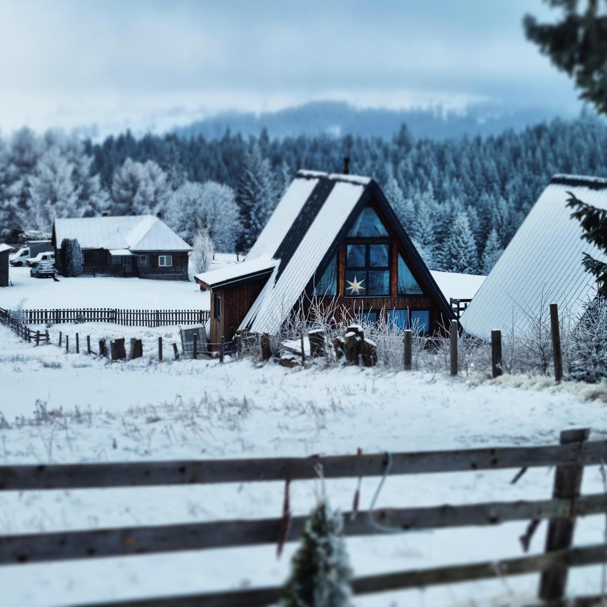 Mokki Villa Mărişel Dış mekan fotoğraf